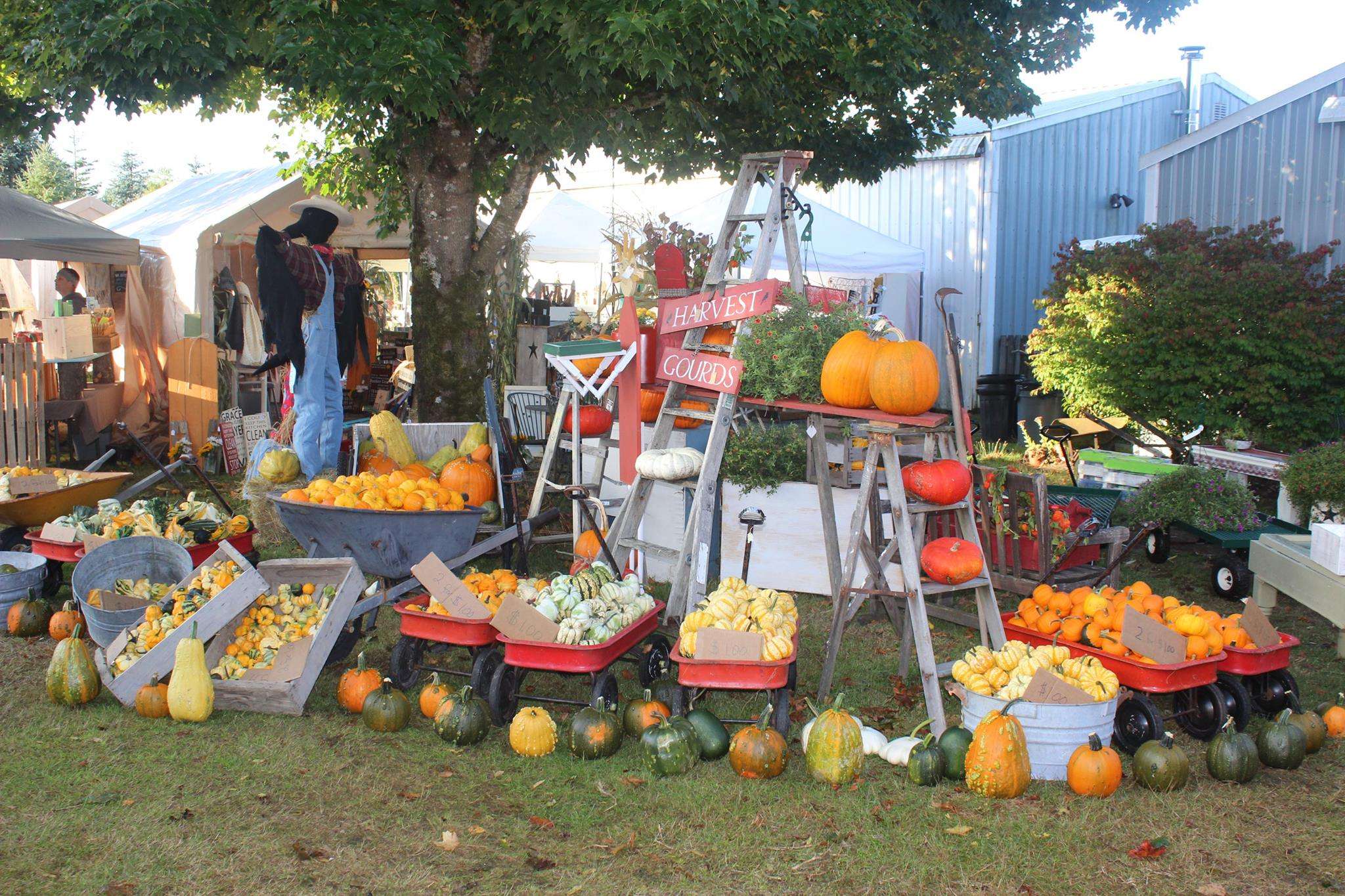 October 2022 Events - County Chicks Fall Market