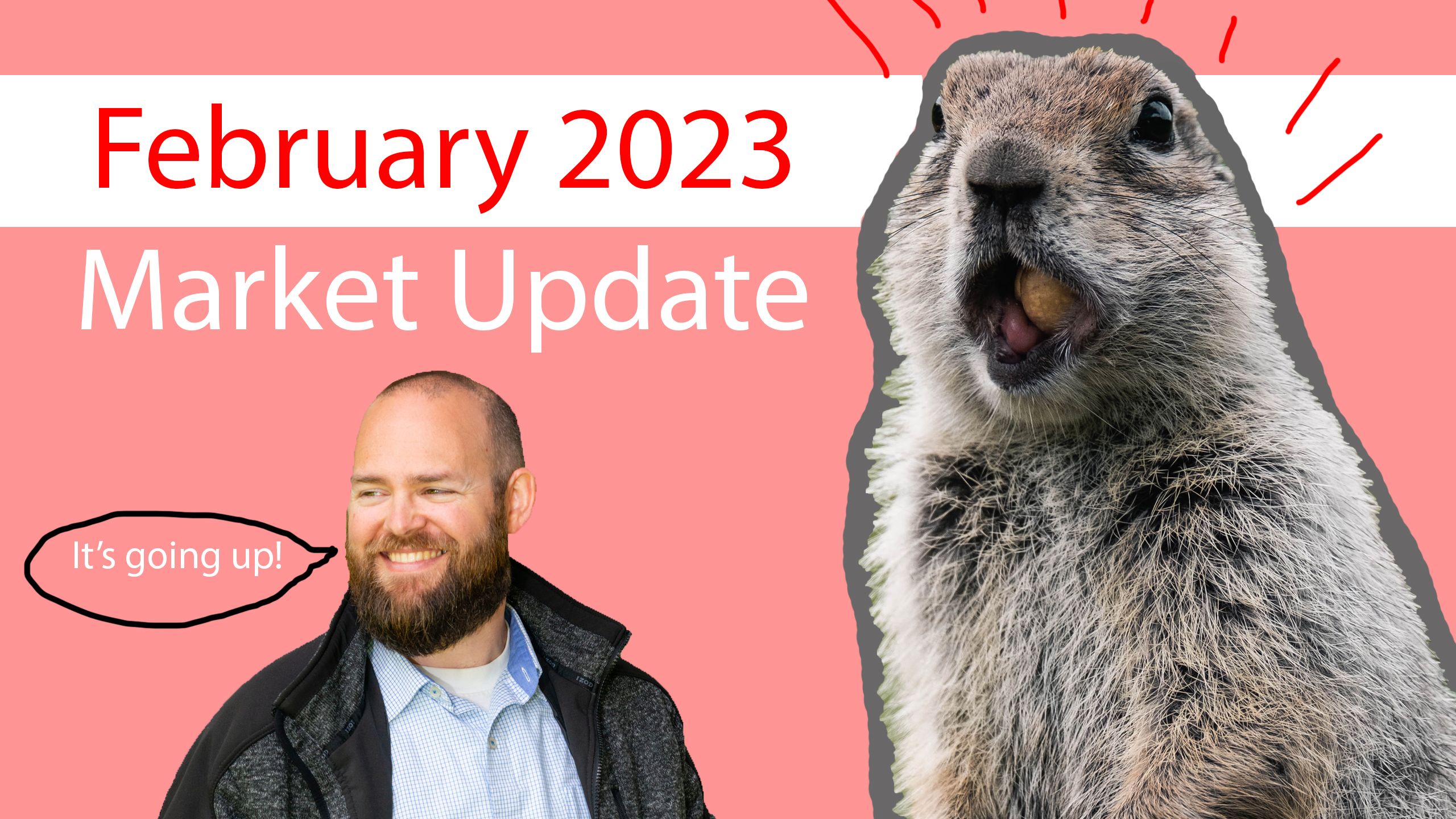 February 2023 Market Update